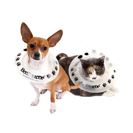 collier-boobooloon-accessoire-pour-chien.jpg