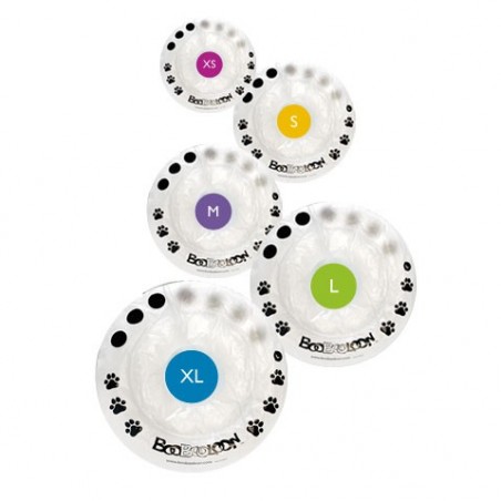 collier-boobooloon-accessoire-pour-chien.jpg