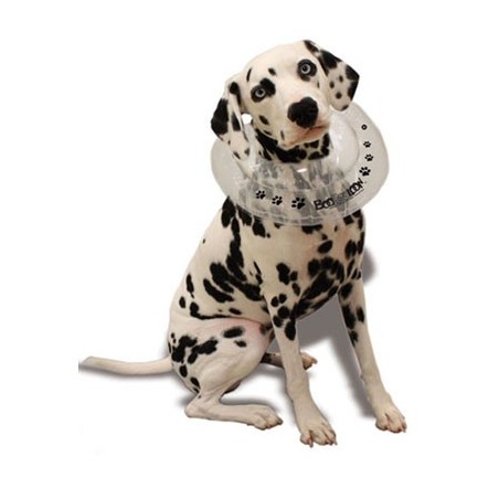 collier-boobooloon-accessoire-pour-chien.jpg