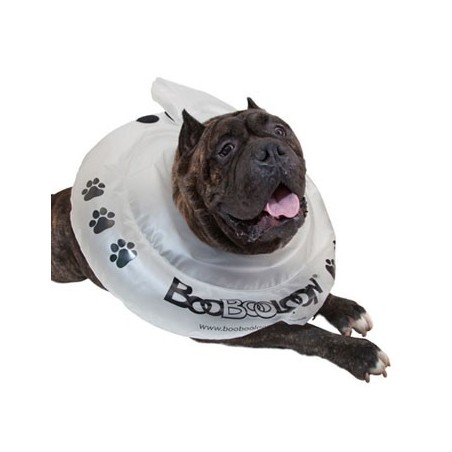 collier-boobooloon-accessoire-pour-chien.jpg
