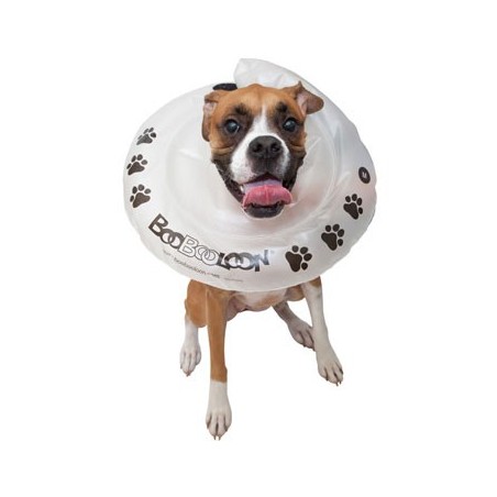collier-boobooloon-accessoire-pour-chien.jpg