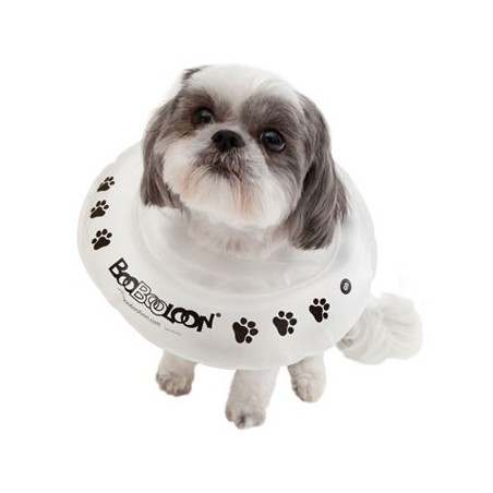 collier-boobooloon-accessoire-pour-chien.jpg