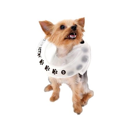 collier-boobooloon-accessoire-pour-chien.jpg