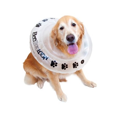 collier-boobooloon-accessoire-pour-chien.jpg