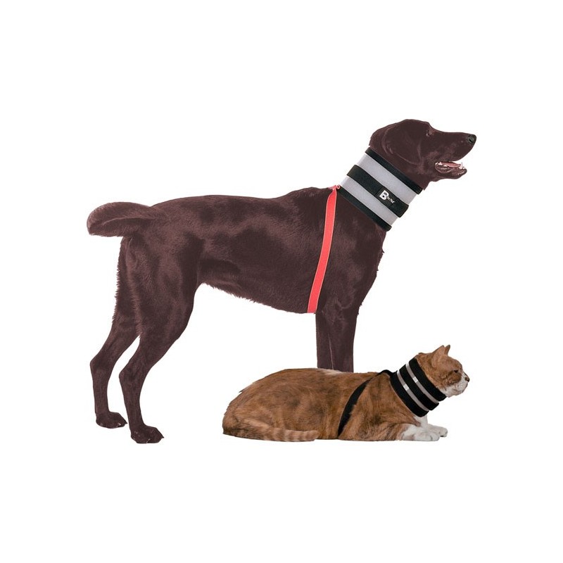 collier collerette chat chien alternative minerve Bitenot Mikan