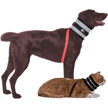 Accessoires de géolocalisation pour chiens et chats