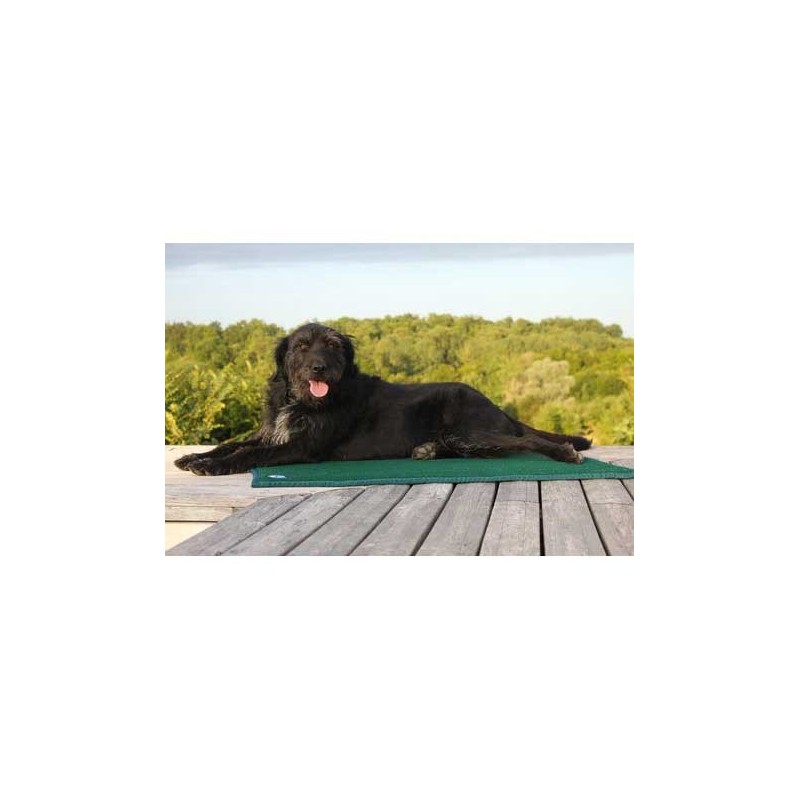 Tapis de confort sleepy dog