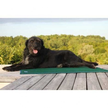 Tapis de confort sleepy dog Tapis de confort sleepy dog