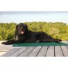 Tapis de confort sleepy dog Tapis de confort sleepy dog