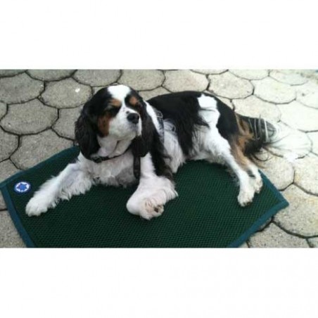 Tapis de confort sleepy dog Tapis de confort sleepy dog