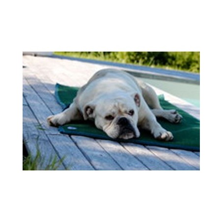 Tapis de confort sleepy dog Tapis de confort sleepy dog