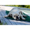 Tapis de confort sleepy dog Tapis de confort sleepy dog