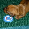 Tapis de confort sleepy dog Tapis de confort sleepy dog