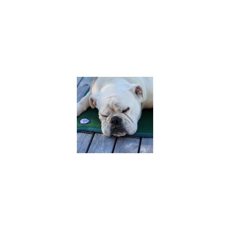 Tapis de confort sleepy dog Tapis de confort sleepy dog