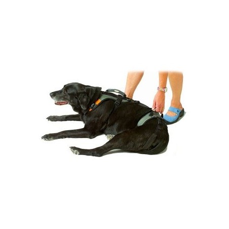 Harnais de portage résistant et ajustable pour tout le corps du chien help em up par mikan