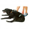 Harnais de portage résistant et ajustable pour tout le corps du chien help em up par mikan