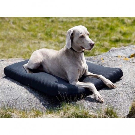 matelas-pour-chien.jpg