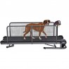 tapis-de-marche-pour-chien-modele-medium.jpg tapis-de-marche-pour-chien-modele-medium.jpg