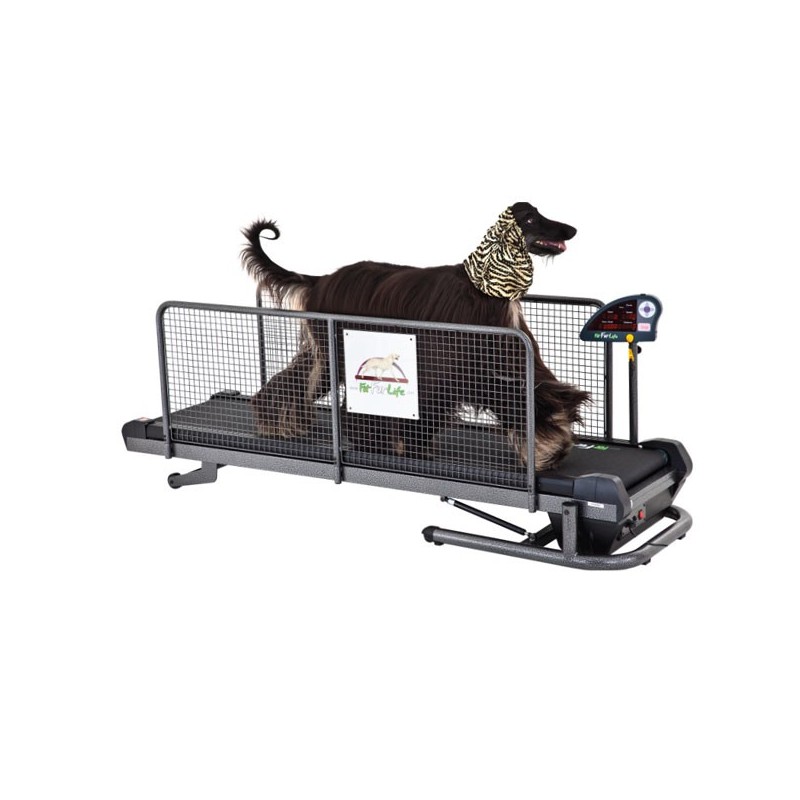 Tapis de marche pour chien FIT FUR LIFE - Supérieur