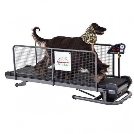 tapis-de-marche-pour-chien-modele-superieur.jpg