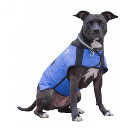 manteau rafraichissant hyperkewl chien et chat
