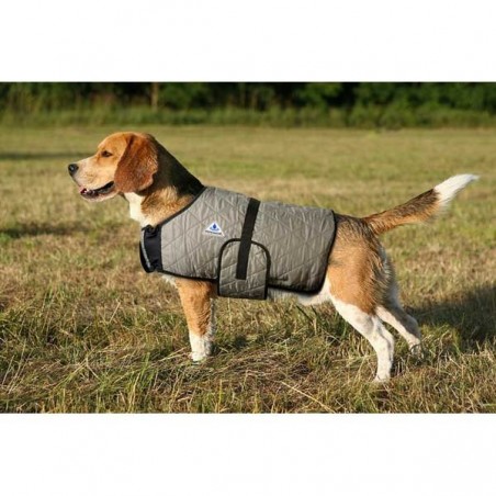 manteau rafraichissant hyperkewl chien et chat