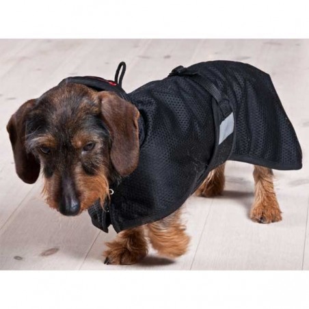 accessoire-pour-chien-manteau-dinterieur-back-on-track.jpg