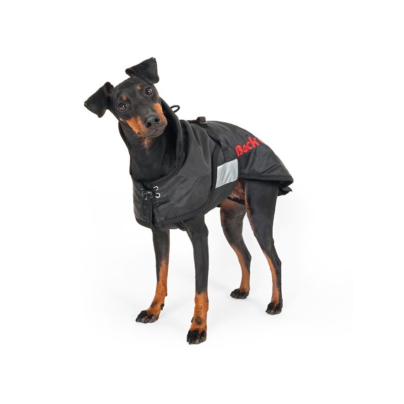 Попона back on track Dog. Back on track Dog Rug. Собака к треку. Dog Shore Coat Jacket.