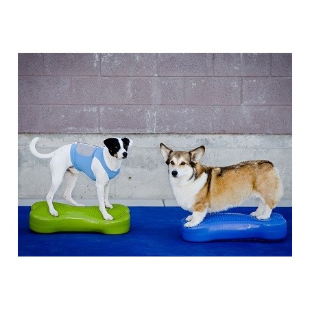 Coussin d'équilibre K9FITbone