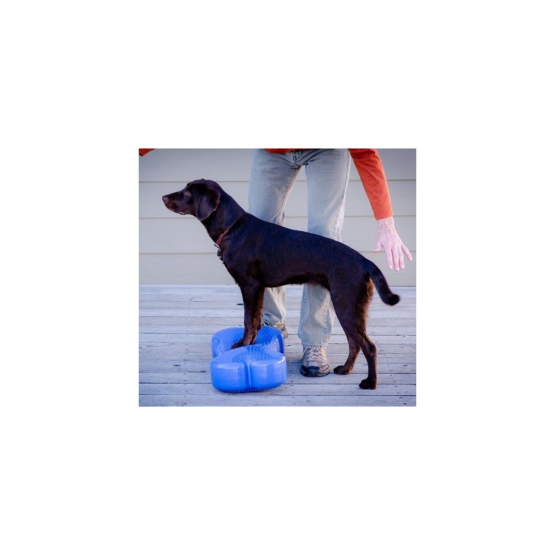 Coussin d'équilibre K9FITbone