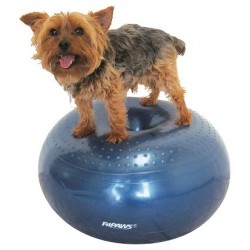 12.5 cm Ballon d'entraînement pour chiens Pro Dog avec dragonne