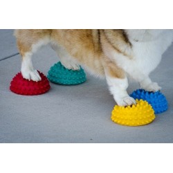 Plots d'équilibre FitPAWS