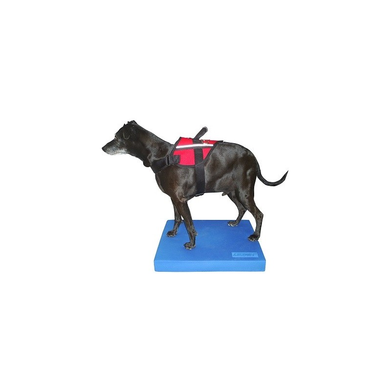 Balance Pad pour rééducation animale