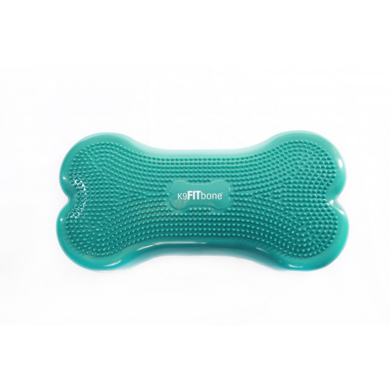 Coussin d'équilibre K9FITbone