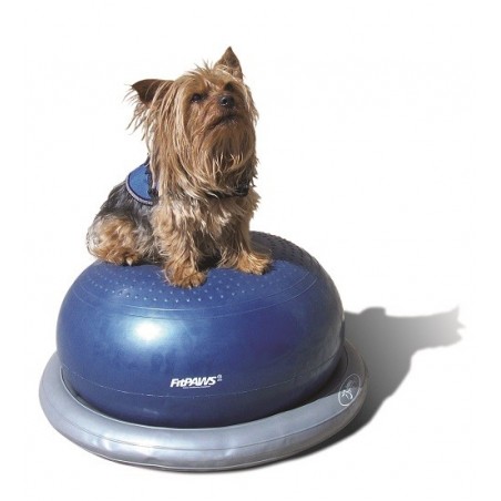 Support FITPAWS Support FITPAWS