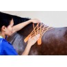 Bande Kinesio Taping VetkinTape® pour animaux