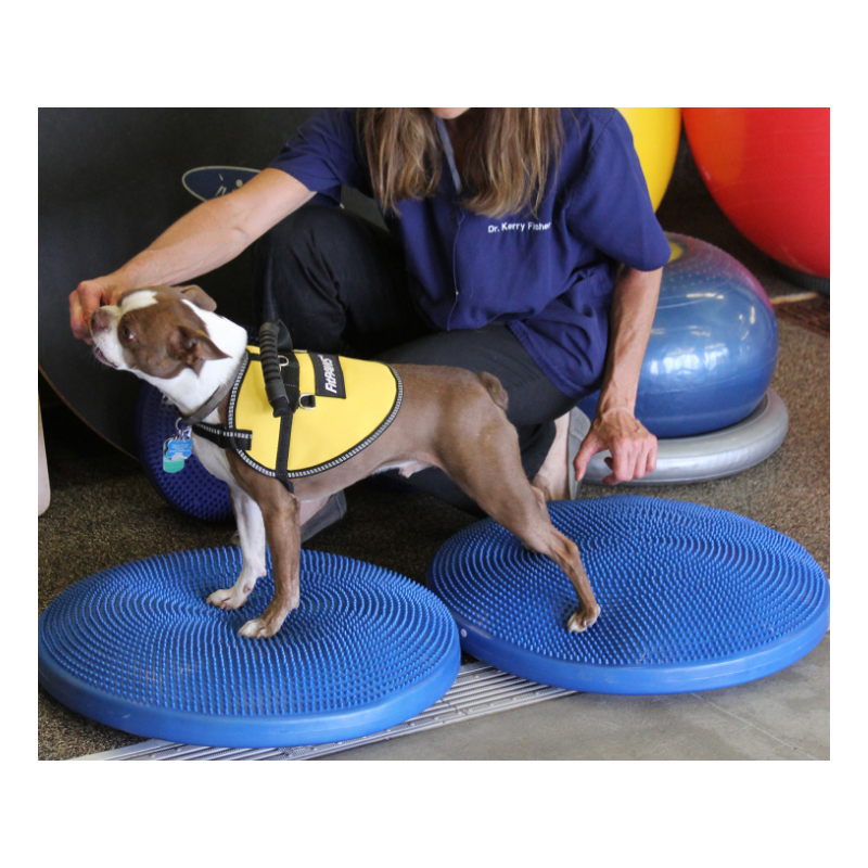 disque-equilibre-fitpaws-mikan