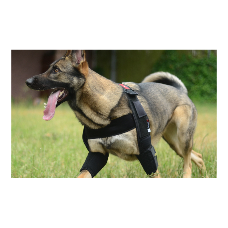 Attelle du coude DOGLEGGS