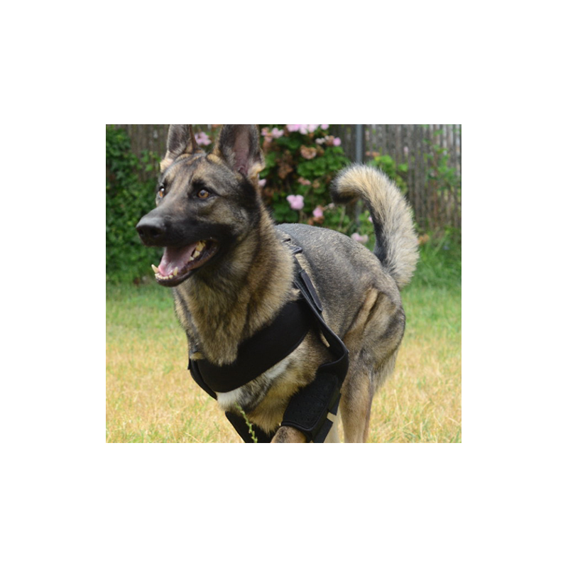 Attelle du coude DOGLEGGS