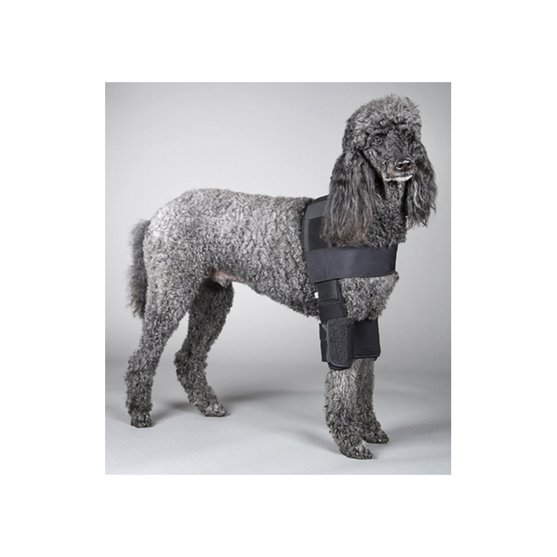 Attelle du coude DOGLEGGS