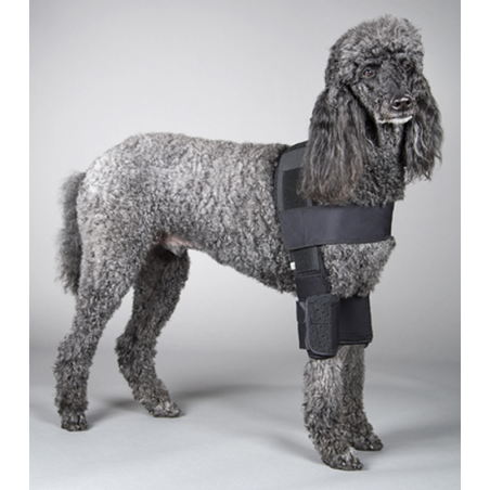 Attelle du coude pour chien handicapé DOGLEGGS - Mikan vet