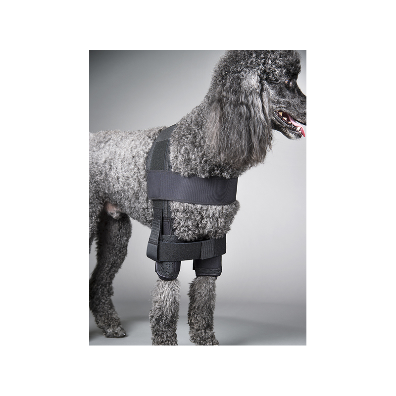 Attelle d'épaule Dogleggs