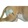 clip-adaptateur-mikan-pour-electrode.jpg clip-adaptateur-mikan-pour-electrode.jpg