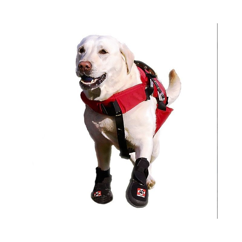 chaussure-pour-chien-renforcee.jpg