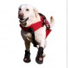 chaussure-pour-chien-renforcee.jpg chaussure-pour-chien-renforcee.jpg