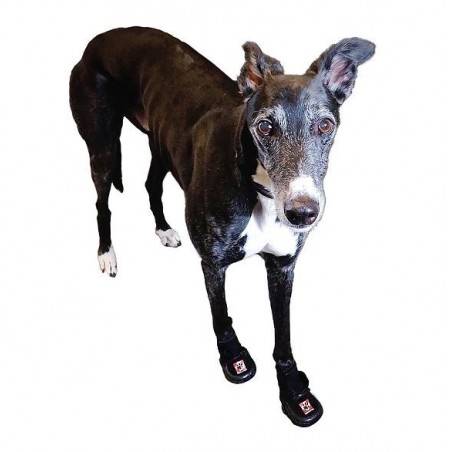 chaussure-pour-chien-renforcee.jpg