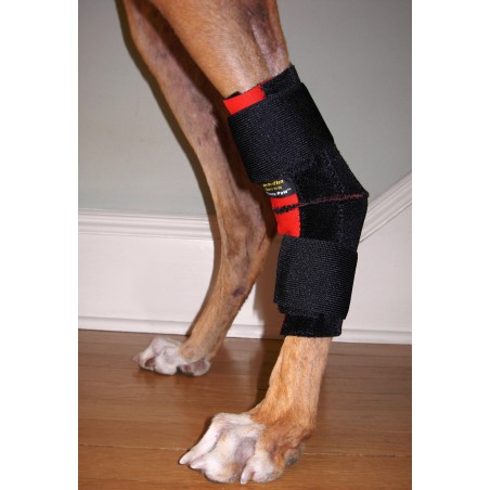 Tarsoflex Sport : attelle de maintien pour chien