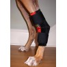 Tarsoflex Sport : attelle de maintien pour chien
