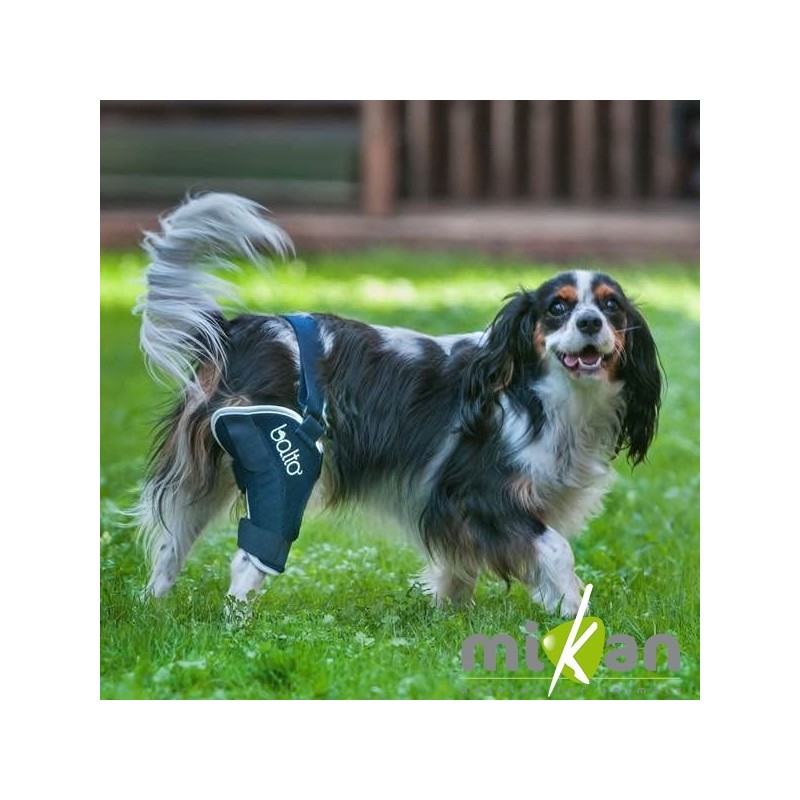 Genouillère pour animaux Balto