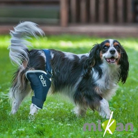 Genouillère pour animaux Balto